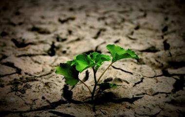 Klimato kaita ir aplinkos sveikata: su kokiais iššūkiais susiduriame jau dabar?