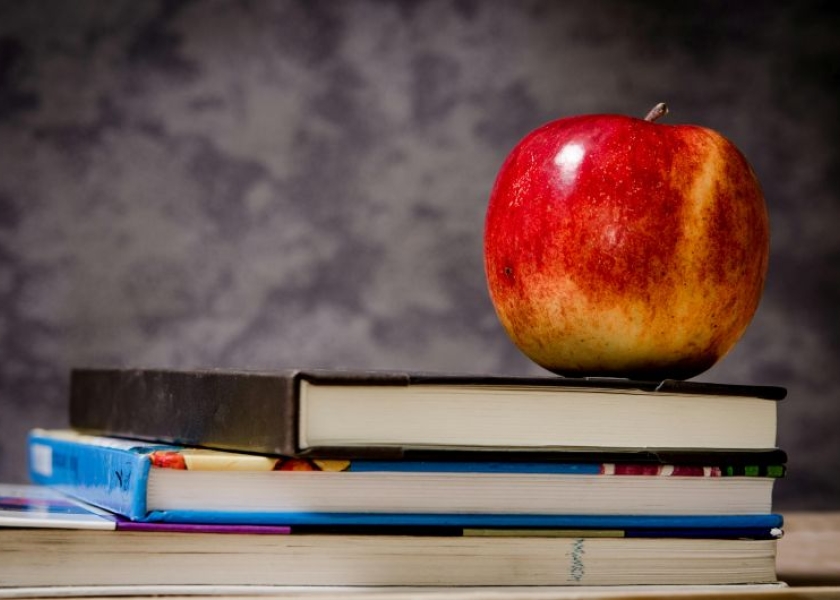 Nuotolinis praktinis seminaras „Kaip tapti sveikatą stiprinančia mokykla ar pratęsti veiklą? Veiklos planavimas ir vertinimas. Kvėpavimo sutrikdymų prevencija. Nudegimų ir nusiplikymų prevencija“