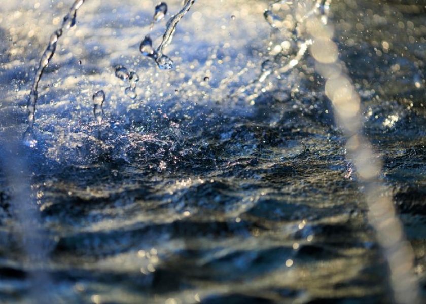 Skelbiame informaciją apie 2025 m. maudymosi sezono maudyklų vandens kokybę