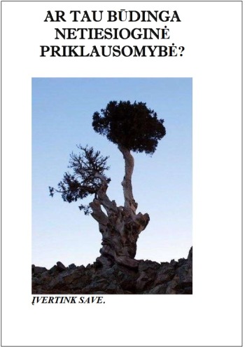 ar-tau-budinga-priklaus_1698043284-e75886bef52b3ab0723b76cdefa28a1c.jpg