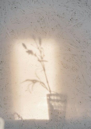 relax_1738102148-6ab82f347282d31b140b1f980fcf7f7d.jpg