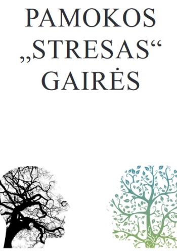 stresas-gaires_1697455455-bdf53166f0e2030d79f70eb42bc05157.jpg